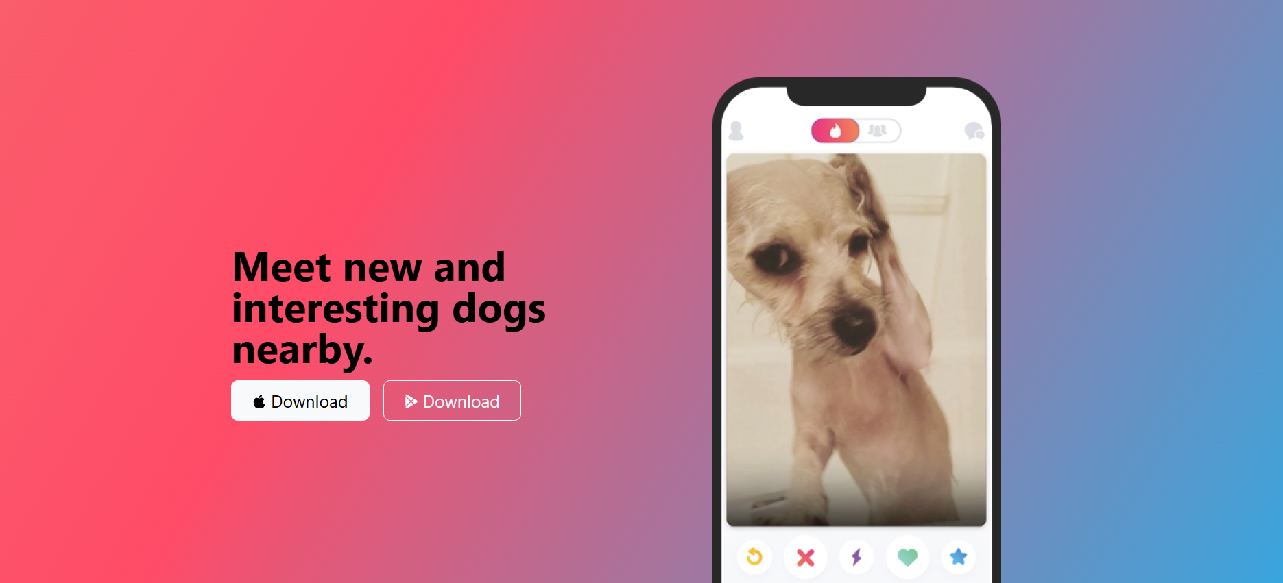preview of tindog project